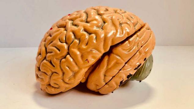 Neurotecnologia: il·luminant la ment i la malaltia