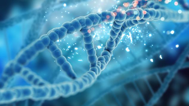 ADN, gens i epigenètica - Festa de la Ciència