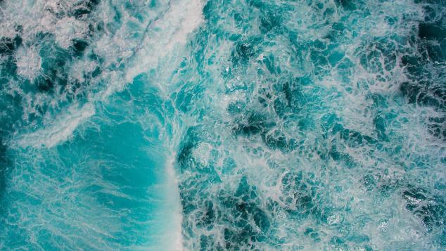 Viatge sensorial vora mar amb el millor sensor: el teu nas  - Festa de la Ciència