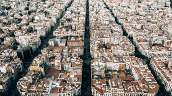 Bessons digitals en ciutats: una rèplica virtual de xarxes urbanes