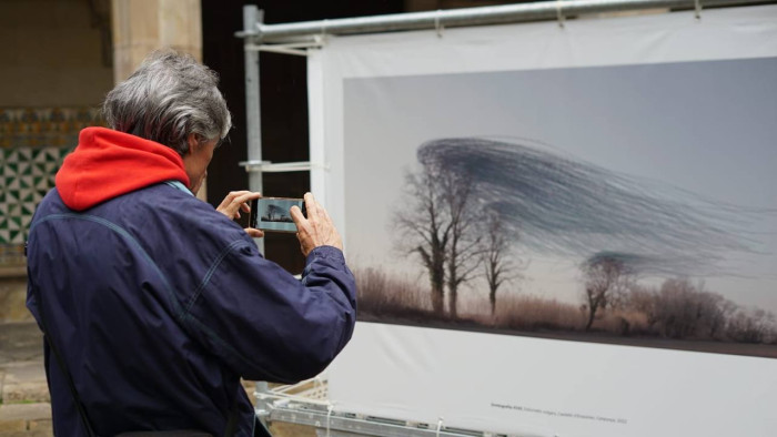 Persones visitants de l'exposició Ornitographies