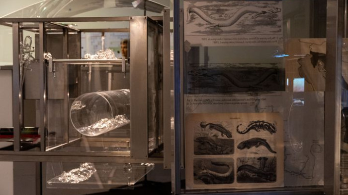 Part de l’exposició «Lygophilia», a l’edifici Teatre del CCCB.