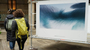 People visiting the Ornithographies exhibition